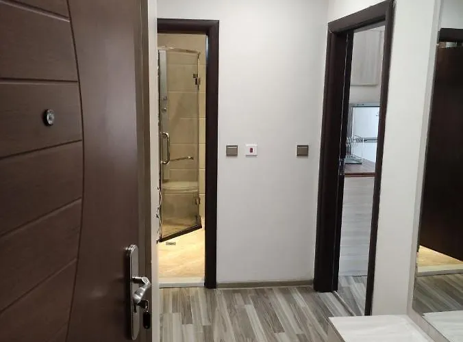 6 - Vasil Aprilov * 普罗夫迪夫